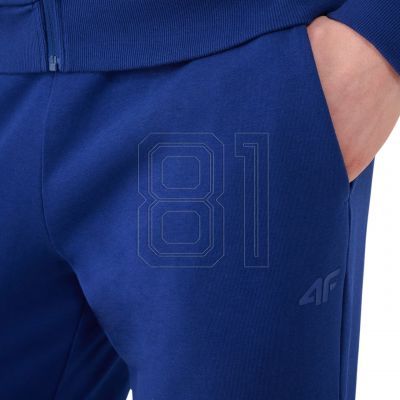7. Trousers 4F Cas M1139 M 4FWMM00TTROM1139 031S