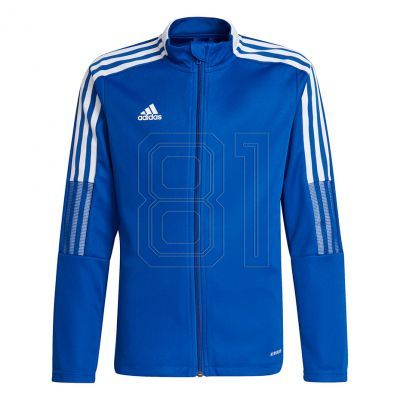 adidas Tiro 21 Track Jr GM7315 Fußball-Sweatshirt