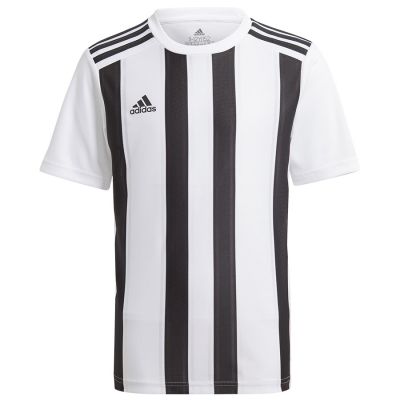 Adidas Gestreiftes 21 Jsy Y Jr T-Shirt GV1382