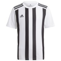 Adidas Gestreiftes 21 Jsy Y Jr T-Shirt GV1382