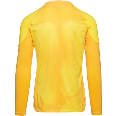 5. Nike Gardien IV Torwart JSY M DH7967 719