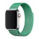 Magnetisches Armband für Apple Watch 38/40/41 mm – mint