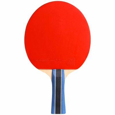 16. Cornilleau Sport 200 Tischtennisschläger