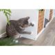 4. Katzenminzeball mit Griff, für Katzen, 5 cm, zum Aufkleben