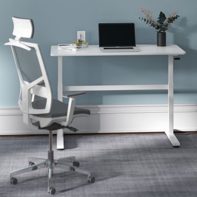 11. Ergo Office Schreibtisch mit manueller Höhenverstellung, max. 40 kg, max. Höhe 117 cm, mit Tischplatte für Sitz- und Steharbeit, ER-401 W
