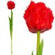 12. ROTE TULPE 38CM LEBENSECHTE FRÜHLINGSDEKORATION