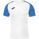 2. Joma Academy IV Ärmel-Fußballtrikot 101968.207