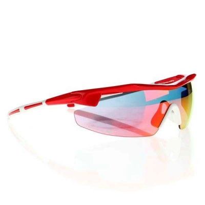 8. Goggle E690-3 Sonnenbrille