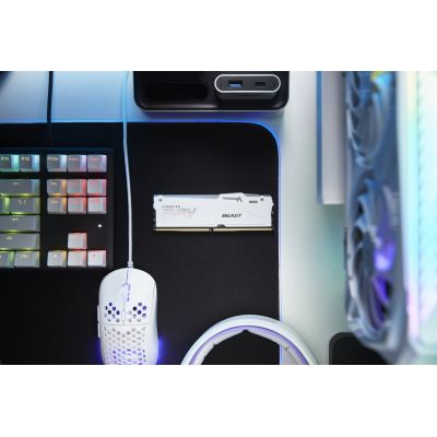 8. Kingston Technology FURY Beast RGB Speichermodul 16 GB 1 x 16 GB DDR5 6000 MT/s