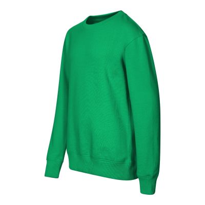 Kinder-Sweatshirt mit Rundhalsausschnitt (Grasgrün)