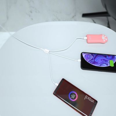 4. USB-Kabel – USB C / Micro-USB / Lightning 480 Mbit/s 6 A 1,2 m – Weiß