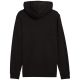 8. Puma ESS Small No.1 Logo Hoodie TR M 682576 01