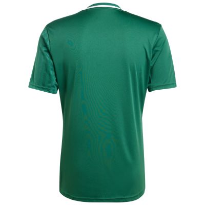 10. Herren adidas Campeon 25 Trikot grün JF6063