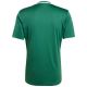 10. Herren adidas Campeon 25 Trikot grün JF6063
