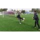 3. Yakimasport Speed-Trainingsband Modell II 100170