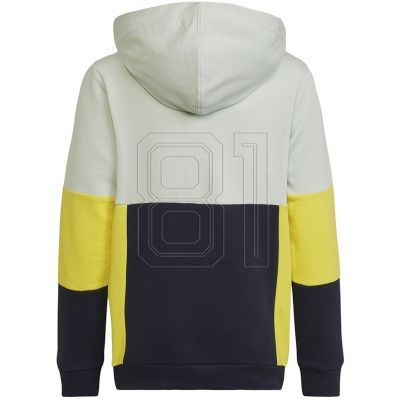 4. Adidas Colourblock Hoodie Jr HN8567 sweatshirt