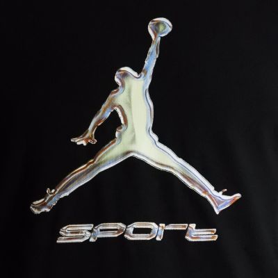 6. Air Jordan Sport Herren Dri-FIT T-Shirt Schwarz - HQ7984-010