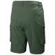 18. Helly Hansen Move Qd Shorts 2.0 M 53977 476