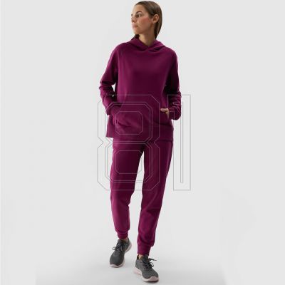 3. Sweatshirt 4F F0955 W 4FWSS24TSWSF0955 51S