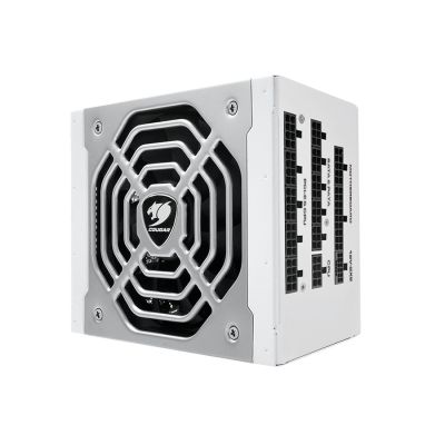 6. COUGAR POLAR X2 1050W ATX3.1/80 Plus Platinum/Modular Netzteil