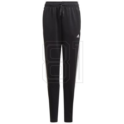 adidas B 3S Pt Jr Hose GN1498
