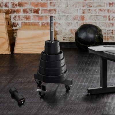 10. TPC25 OLYMPISCHE POLYURETHANPLATTE CPU 25 KG HMS