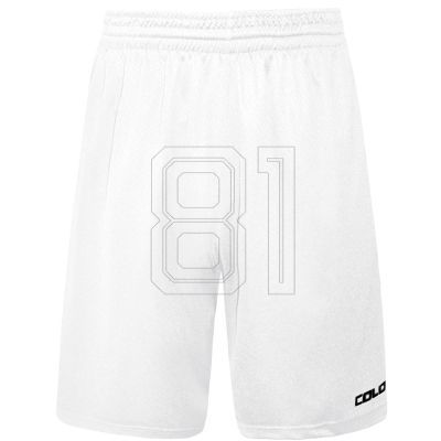 2. Colo Spring 05 Basketballshorts