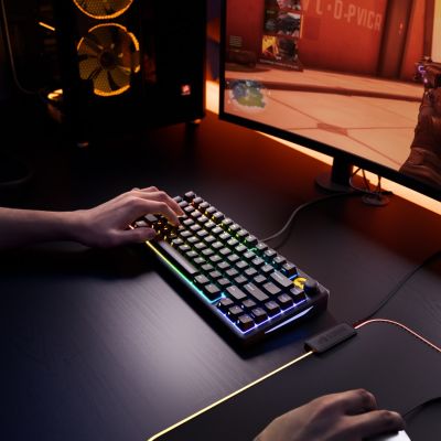 9. Glorious Gaming GMBK 75% USB QWERTY US Englisch Tastatur Schwarz