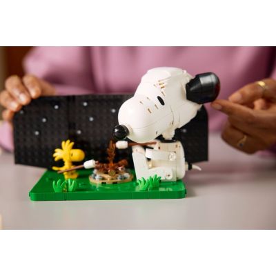 23. LEGO Ideas 21368 – Peanuts: Snoopys Knospe
