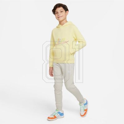 4. Sweatshirt Nike Sportswear Jr. DX5087-706