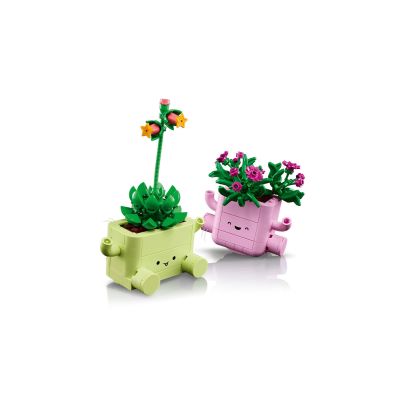 6. LEGO 11506 Botanik – Schwingende Pflanzen