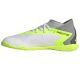 2. adidas Predator Accuracy.3 IN Jr IE9449 Fußballschuhe