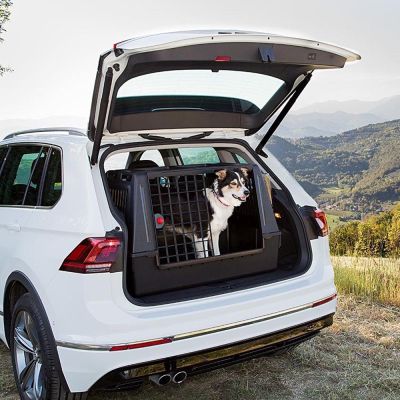 4. FERPLAST Atlas Car 100 Scenic - Autotransporter für Tiere