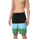 2. Shorts 4F M 4FSS23UBDSM024 deep black