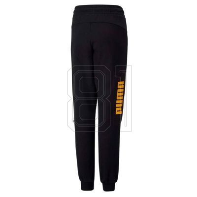 2. Puma Power Jr 670100 51 Hose