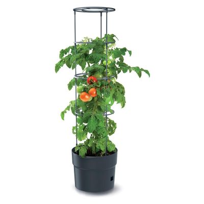 2. Tomatenpflanztopf mit Leiter, Fassungsvermögen 18 l