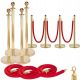 SUPRIMO RCP 4 massiver Gold-Barrierepfosten mit
