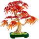 3. LEGO Botanik 10348 Japanischer Ahorn-Bonsai