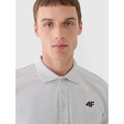 2. Herren-Poloshirt Regular 4F 4FWMM00TPTSM367-27M