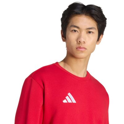 5. adidas Entrada 26 Sweatshirt für Herren, rot, JZ6575