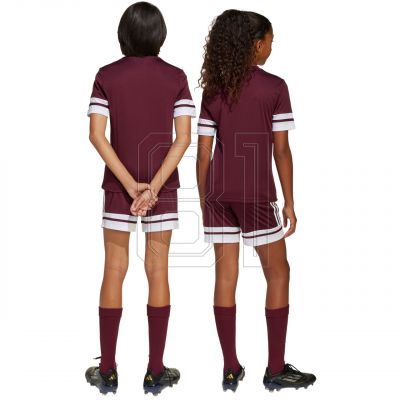 6. adidas Squadra 25 Jr Shorts JC8665