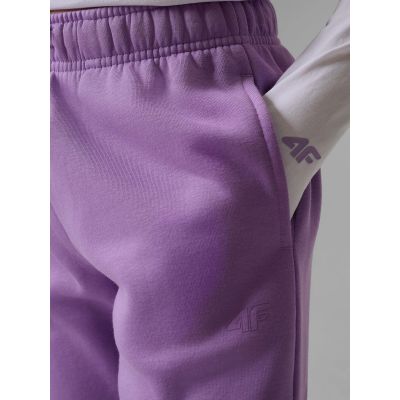 4. Jogginghose für Mädchen 4F 4FJRSS26TTROF1795-12S