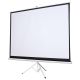 Silelis ET-1 100"-Projektionsleinwand (180 x 180 cm, 1:1), automatisch aufrollbar, Dreibeinstativ/Stativ