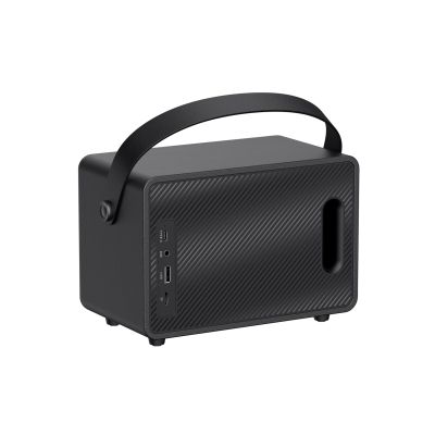 4. Havit SK907BT Kabelloser Bluetooth-Lautsprecher (Schwarz)