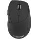 Esperanza Andromeda EM123K Maus (optisch; 2400 DPI; schwarz)