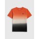 5. Lässiges Herren-T-Shirt mit Aufdruck 4F 4FRSS26TTSHM3815-70A