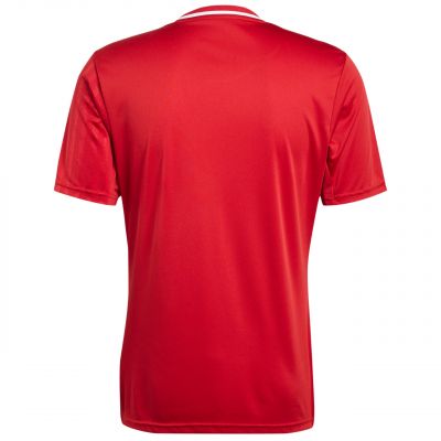 3. adidas Campeon 25 Trikot M JF6058