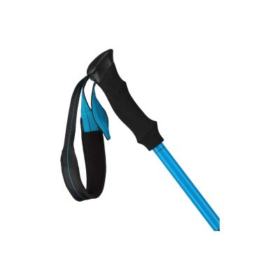 3. Hirse Ubic Carbon Paar blaue Sticks