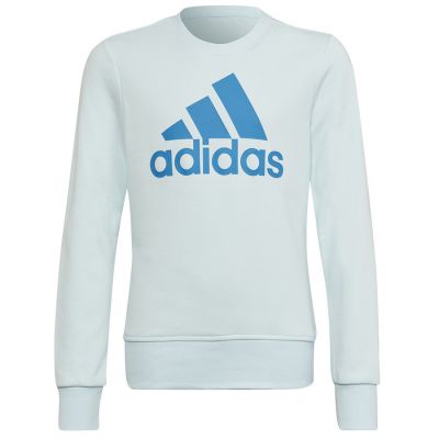 Adidas Big Logo Swt Jr HM8707 Sweatshirt