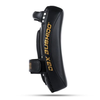 4. PAO Gold Thai Shields Paar | ProFighter | DBX Bushido